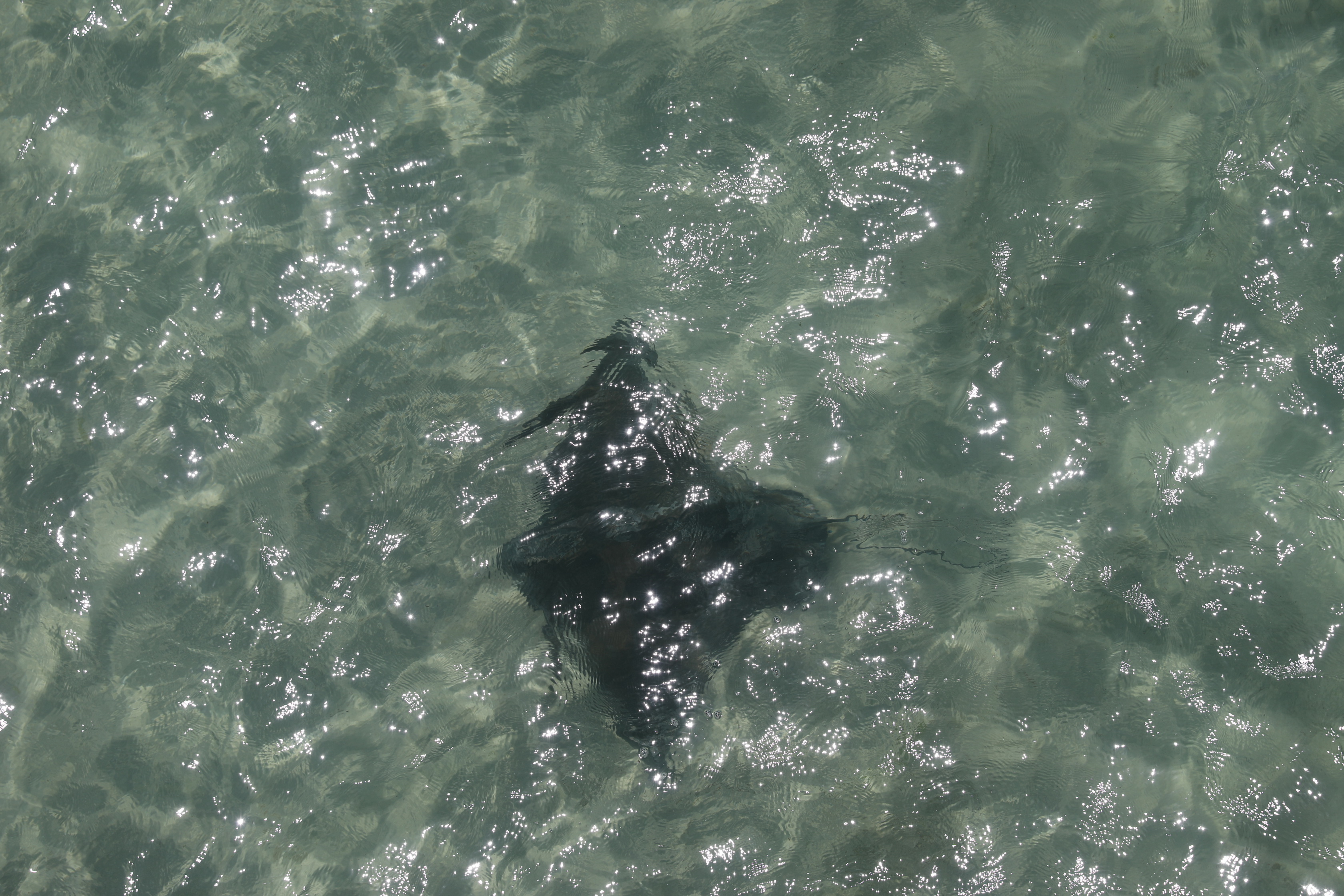 2019 12 07 13 29 22 Canon EOS 5D Mark IV 0034